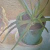 1979-Aloe-Plant-16x12